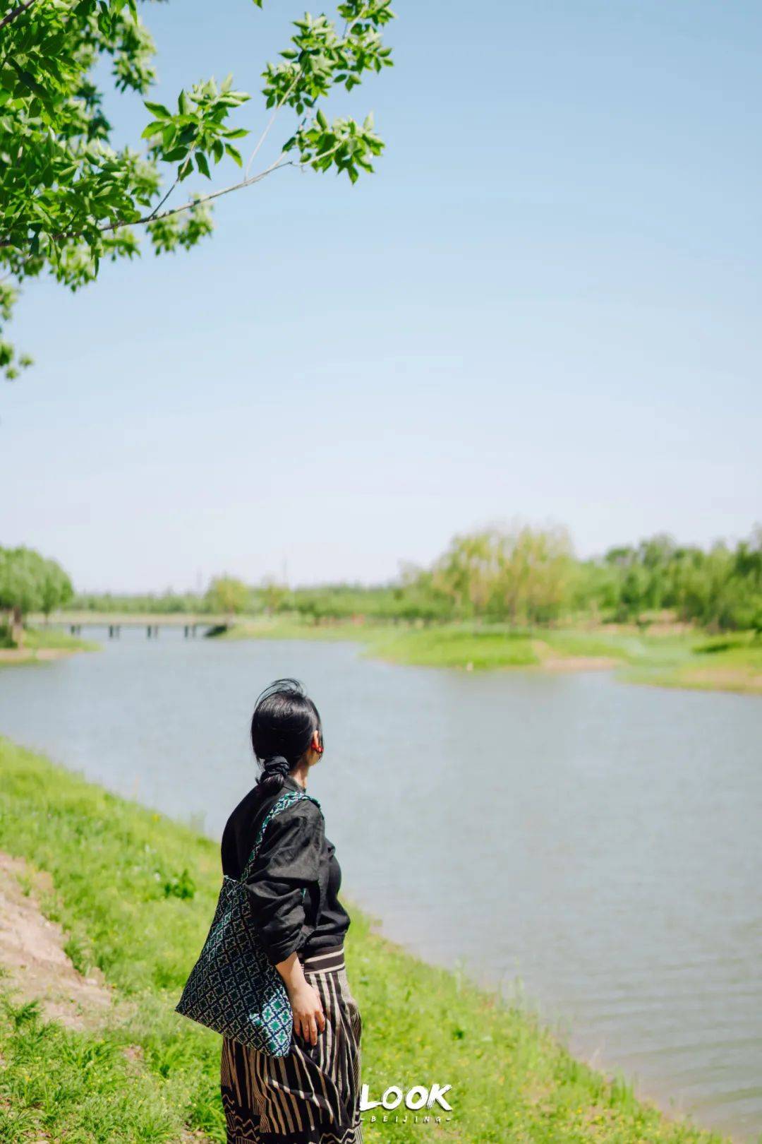不藏了 · 北京最被低估的小众公园_自然_黑桥_夏日