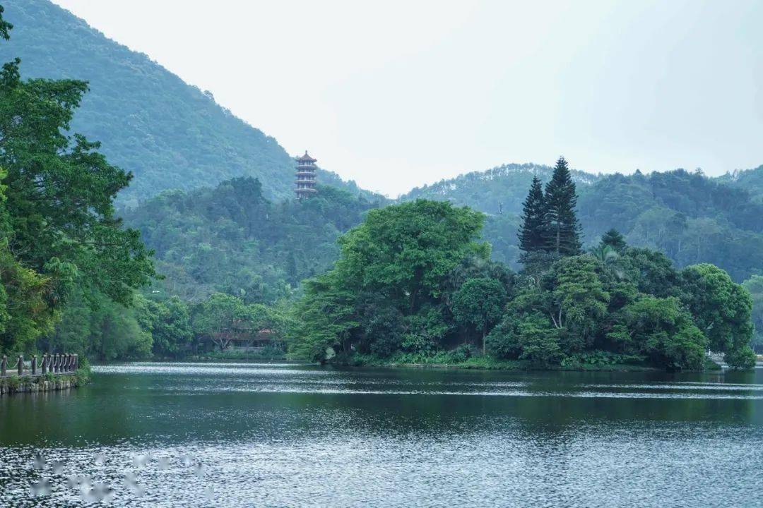 对了,植物园内还有岭南最大的寺庙——弘法寺.寺院依山而建,规模宏大.