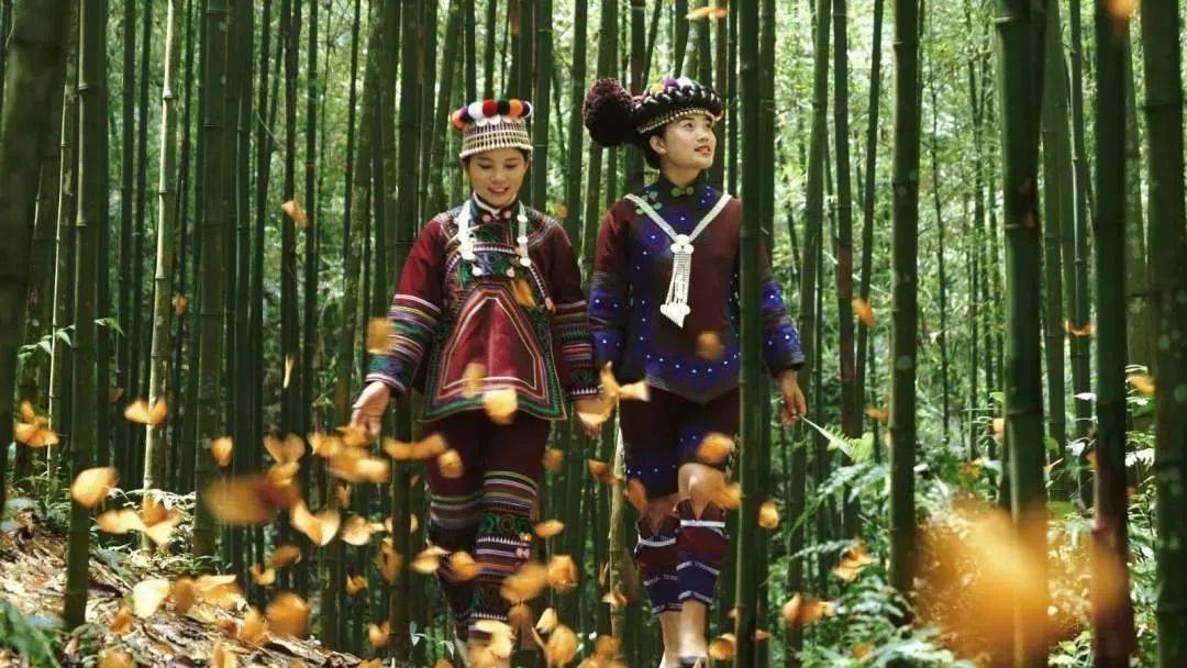 【地理素养】贵州"金字塔",云南蝴蝶大爆发