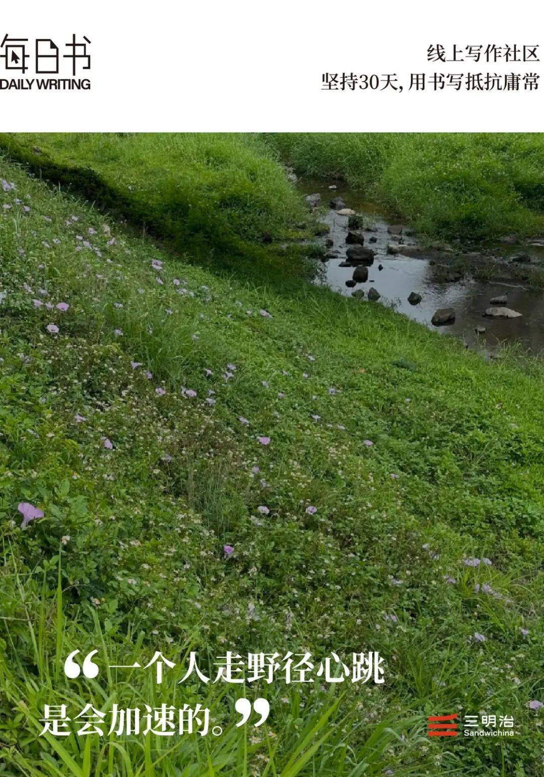 去爬山吧,去听自己的心跳,去见消失的野猪|三明治