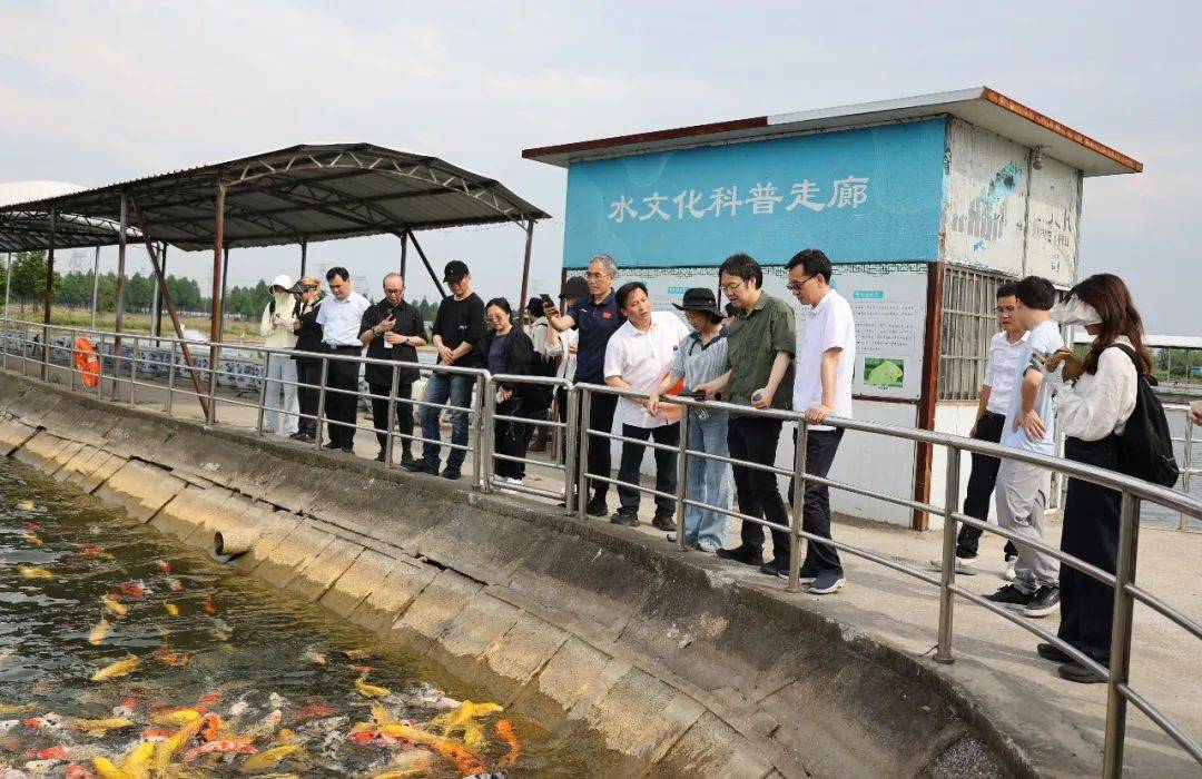 上海枫泾九丰农博园,枫泾古镇,中国农民画村,开太鱼有机农业等点位