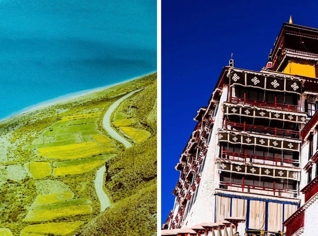 西藏印象,雪域高原为何如此撩人