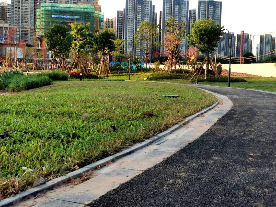 茂名这个公园才建成一年多,竟然荒废了?网友表示太惋惜!