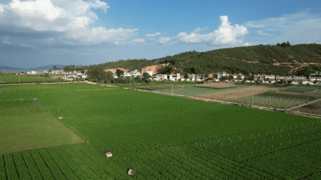 石屏异龙镇:"段长制"促河长治 不断擦亮河湖生态底色