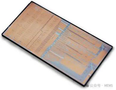 采用集成光子技术的片上流式细胞仪,瞄准高通量细胞分析_制造_imec