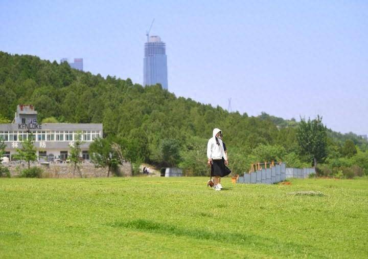 济南黄河大草坪图片