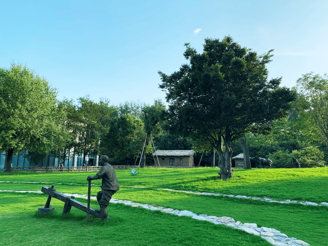 绿意盎然是泗阳的夏日封面开云体育 开云平台(图10)