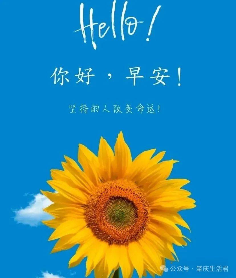 每日早安祝福语:向上开花,向下扎根,坚持的人改变命运,美好的一天