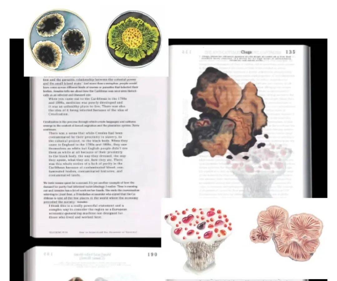 acg学生专访|以家庭,自身出发,作品大多围绕家庭,女