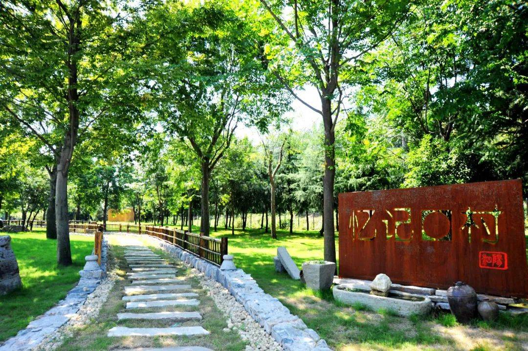 绿意盎然是泗阳的夏日封面开云体育 开云平台(图8)