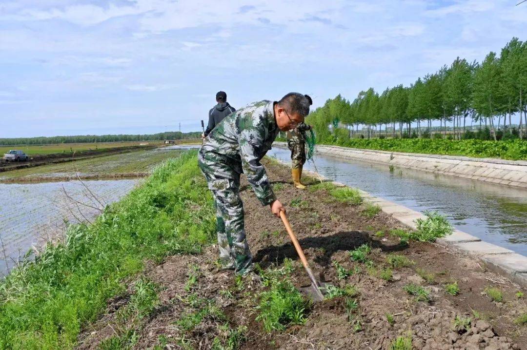 江川农场开展"绿美江川"建设暨"党员110"义务劳动