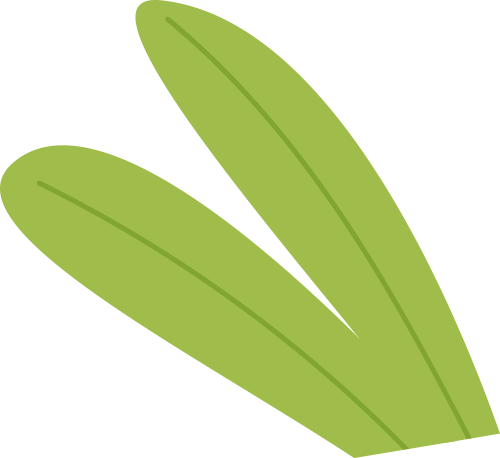 【国开·国际交流】中澳交流续友情 互学互鉴行致远