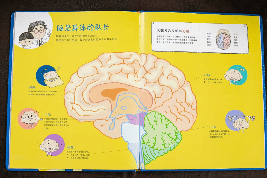 离婚7个月,章子怡罕见晒女儿,网友:这娃养得太好了!