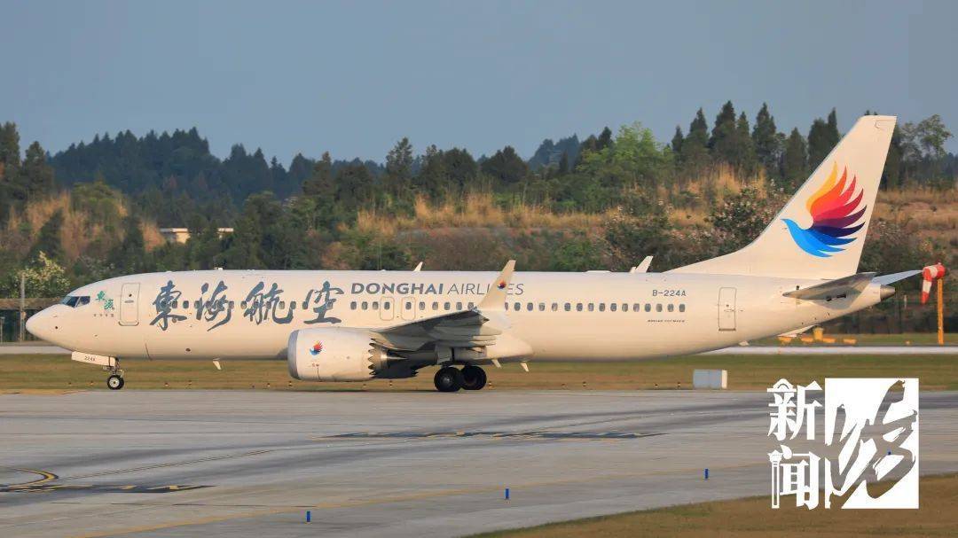 浦东机场一飞机滑出后,女子竟强行要求下机!原因令人无语.