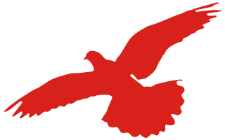 活动回顾|5月25日【双协会】理事会会议顺利召开