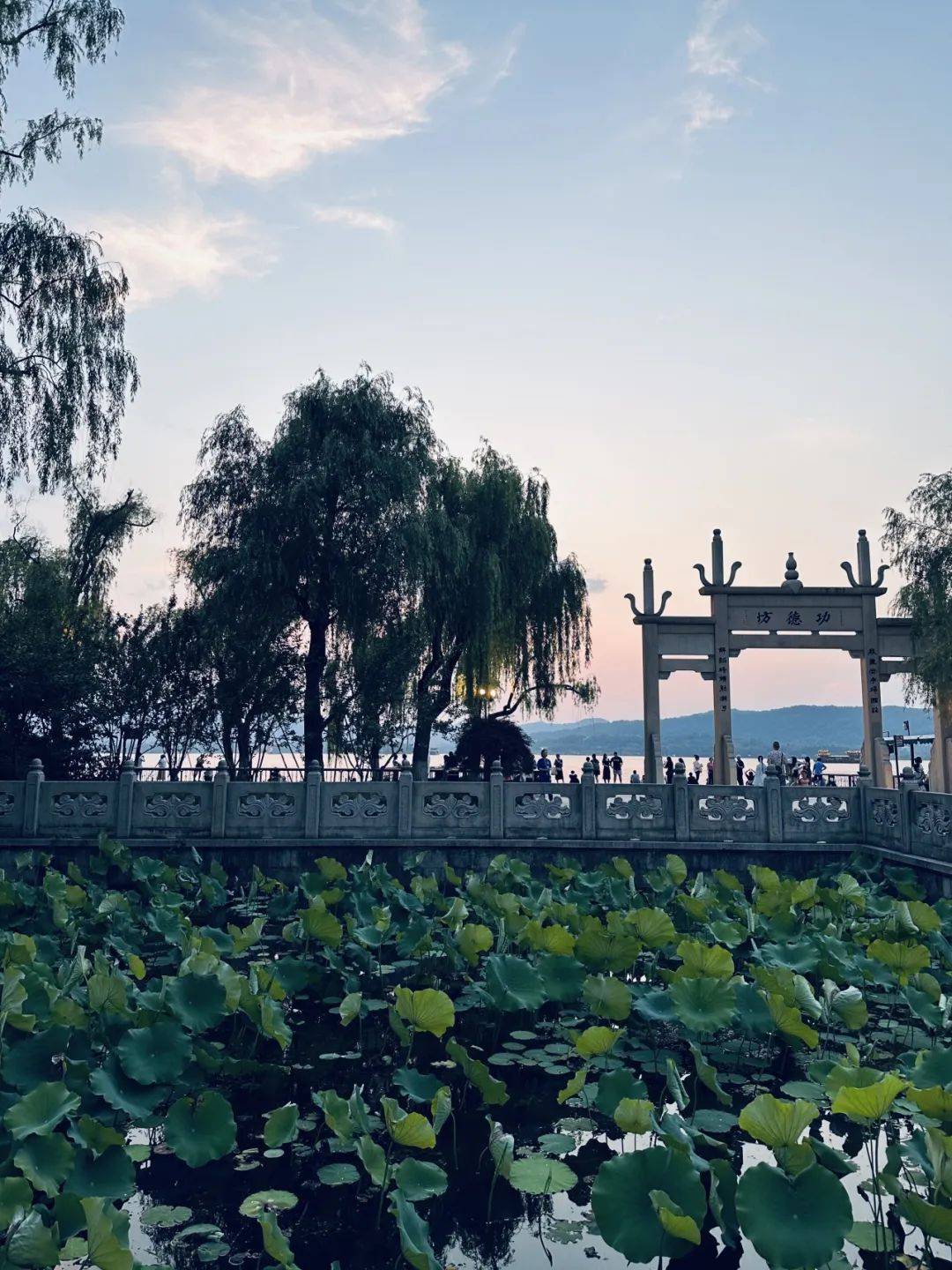 西湖不仅有"十景".在我看来,每一个角度都是独特的美.7.