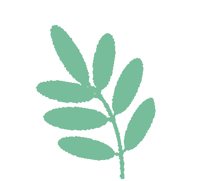 法护青春丨"用爱护航助成长·与法童行向未来"系列活动走进励才实验