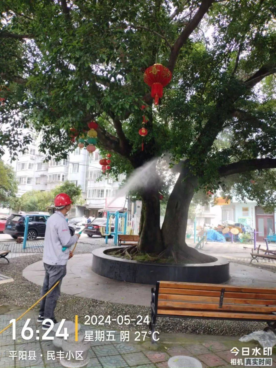 让夏季"默默无蚊"!昆阳镇打好病媒防制"组合拳"