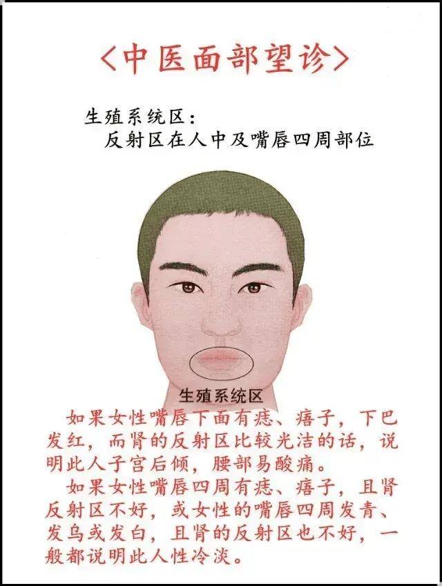 脸解析图高清图片