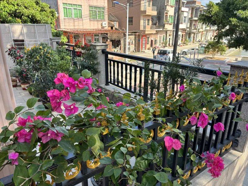 增城1村12户入选市首批"美丽庭院"和示范村