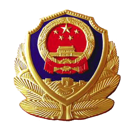徽章 276_271