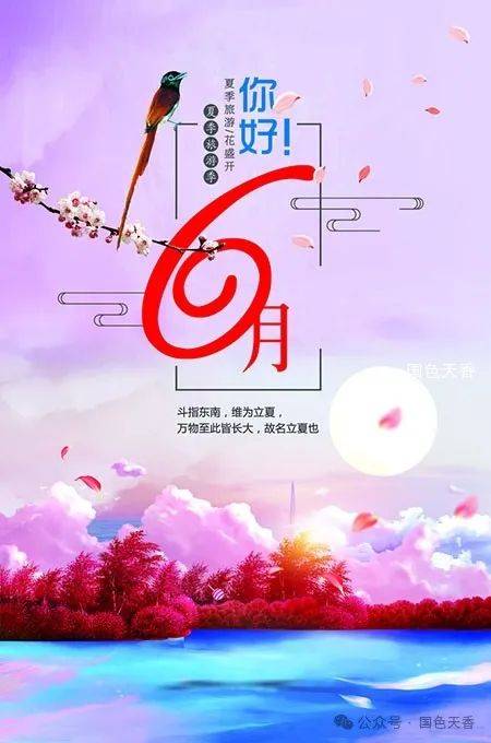 五月;你好,六月!