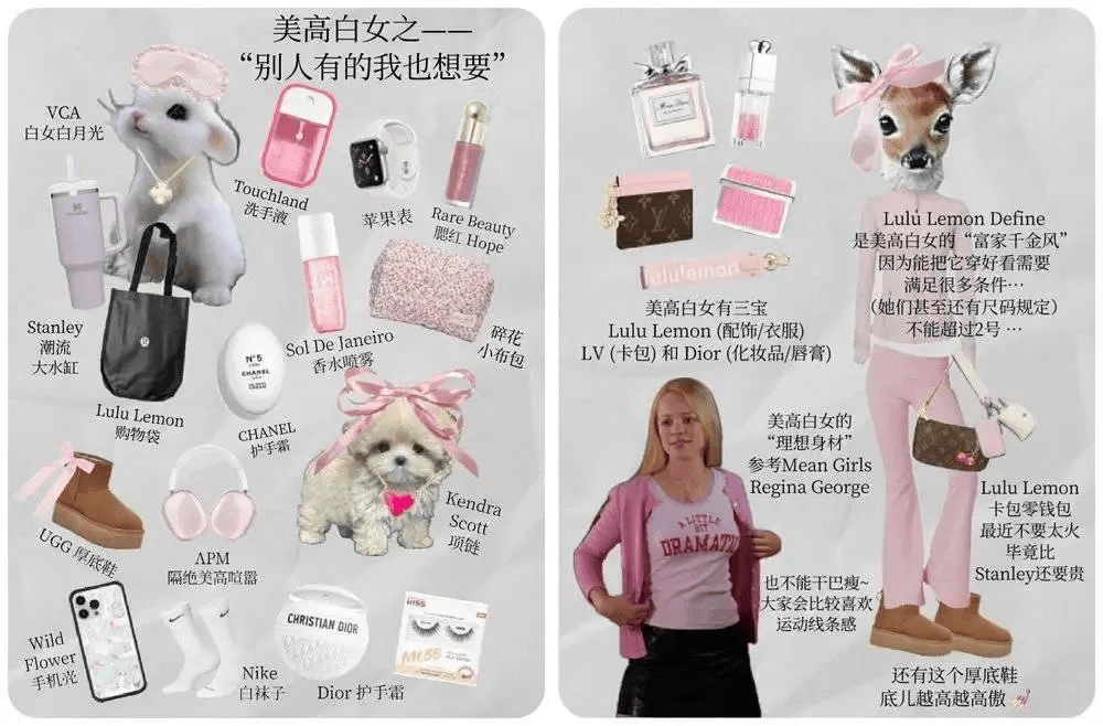 “质疑白女、理解白女，就真的能成为白女吗？”_生活_理想_Stanley