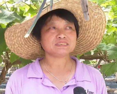 这三张"童画"里,藏着荔湾和梅县的暖心故事