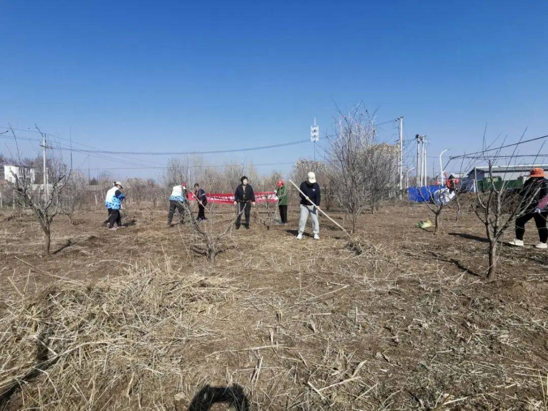 沈庄村尚武集村草厂村后地村南丁庄村觅子店村南屯村三黄庄村东黄垡村