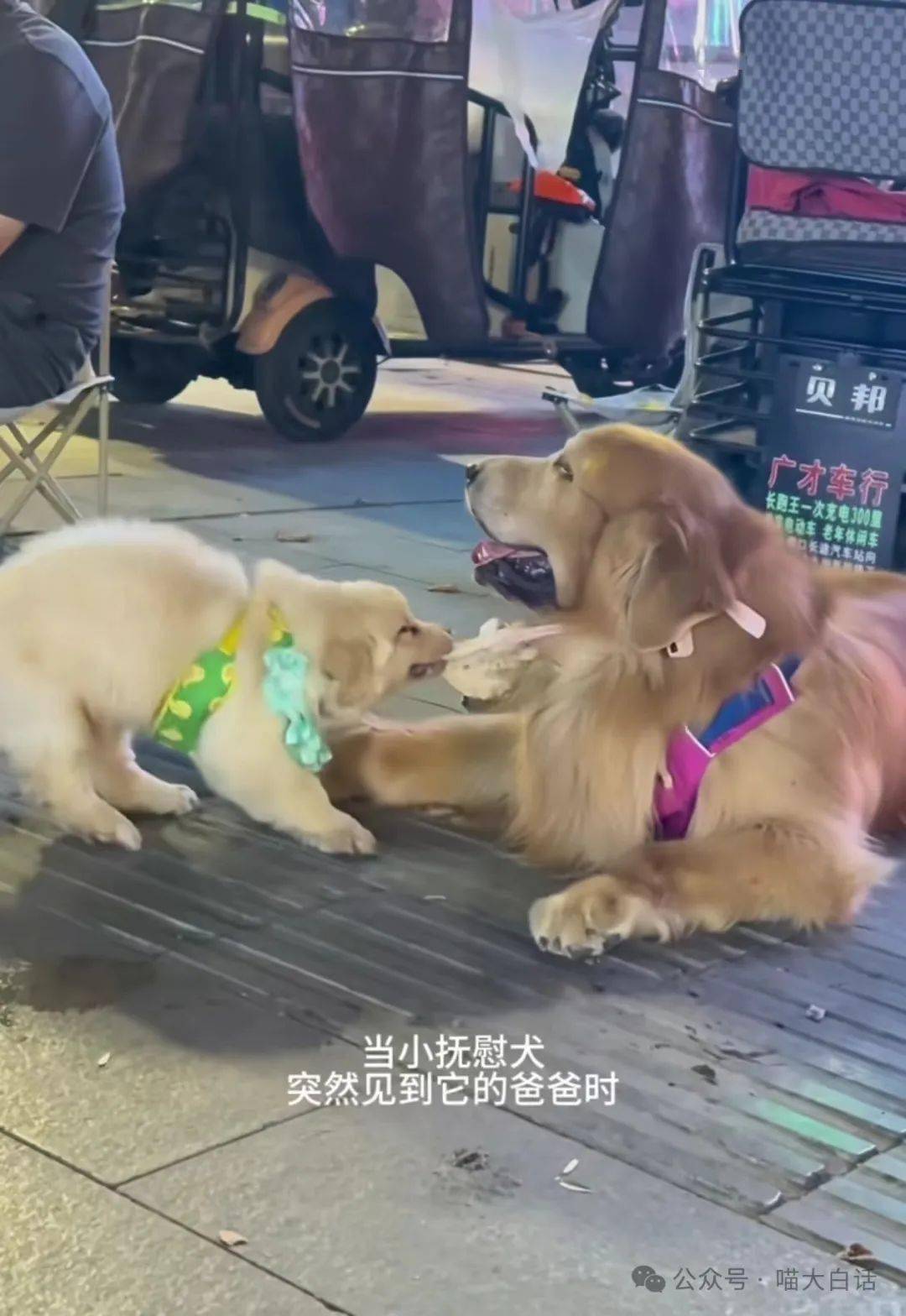 "哈哈哈这巧合就离谱!