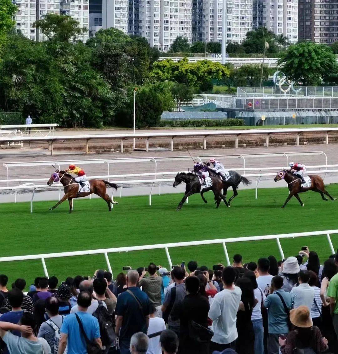 06200 周六畅游一日香港!
