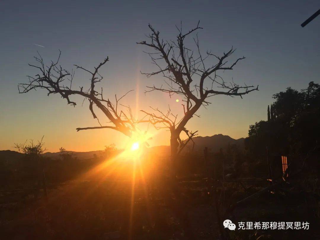 【言谈录】看就是领悟