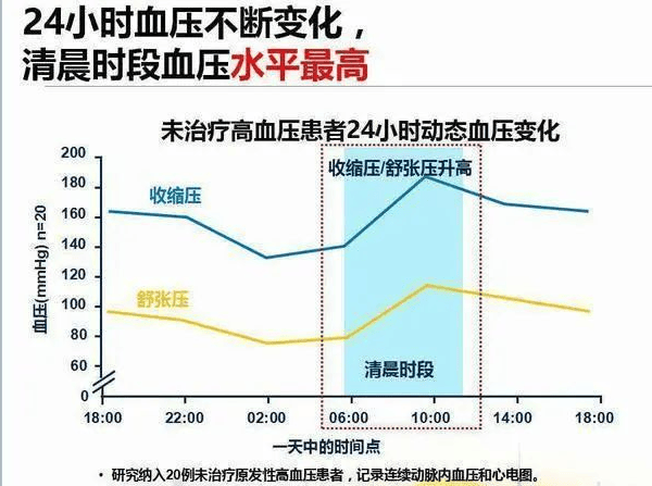 血压一天的变化图片