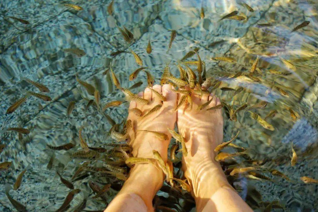 含双人自助早晚餐 水上乐园门票 无限次莲花温泉,享免费diy,农耕体验