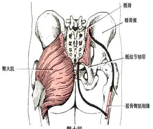 纬度健身 