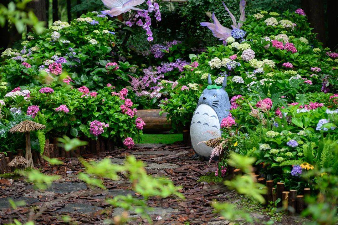 2024上海滨江森林公园绣球花展正式开幕_地点_入口_龙猫