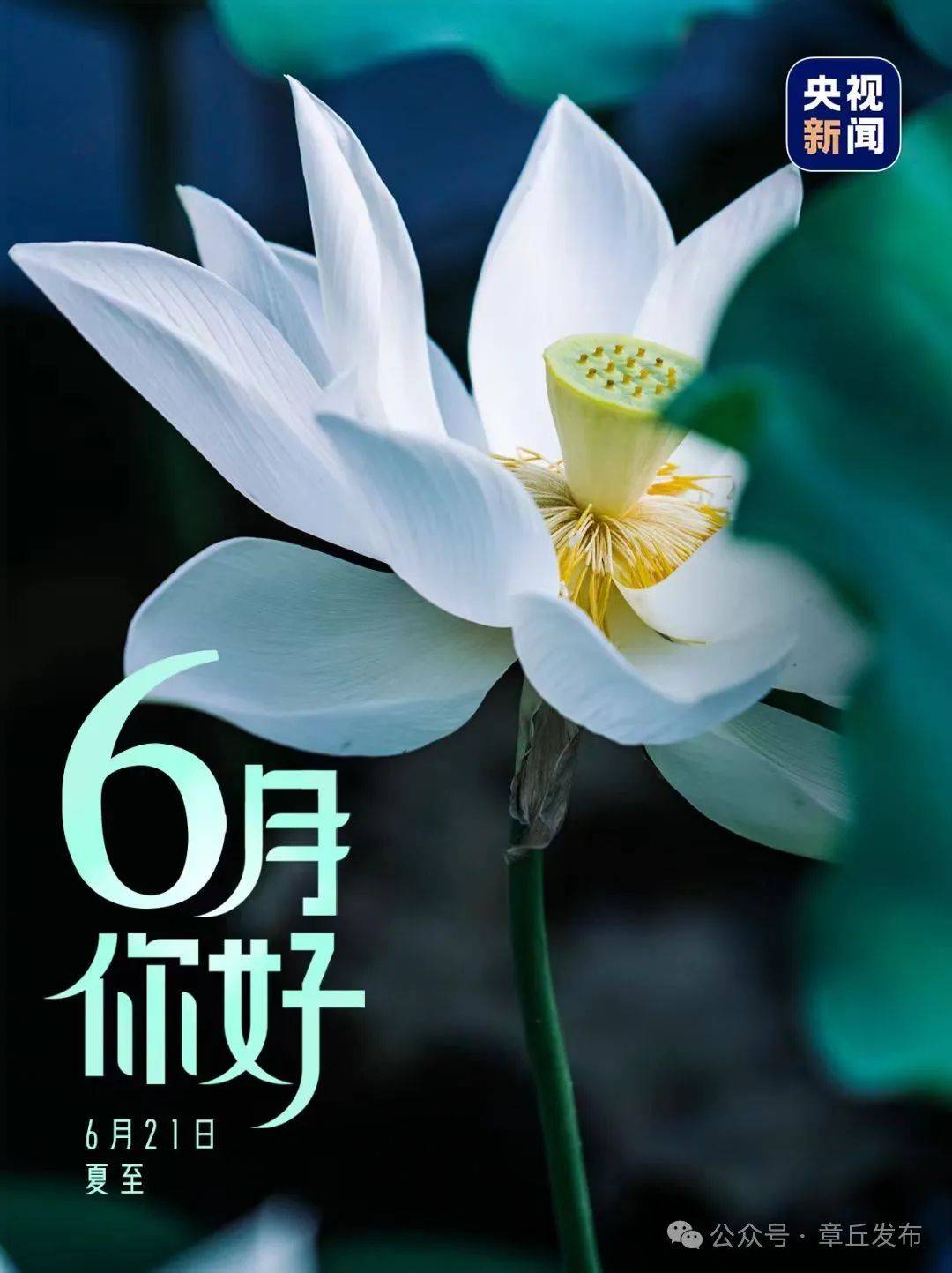 6月这些日子很重要