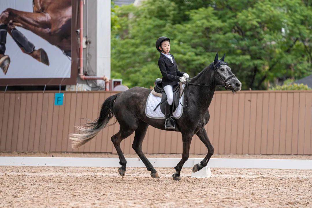 【公益体彩】杭州体彩助力马术运动——马术省赛在杭举办,年轻骑手