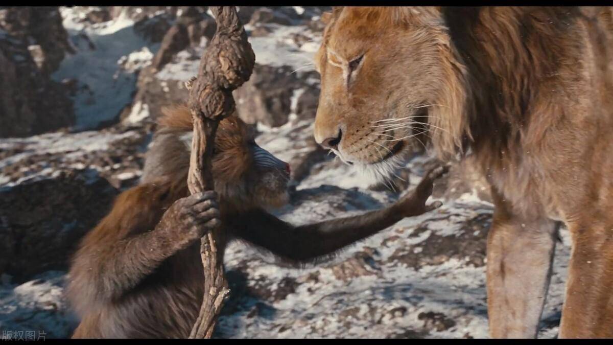 电影《 狮子王:木法沙传奇》深度解析