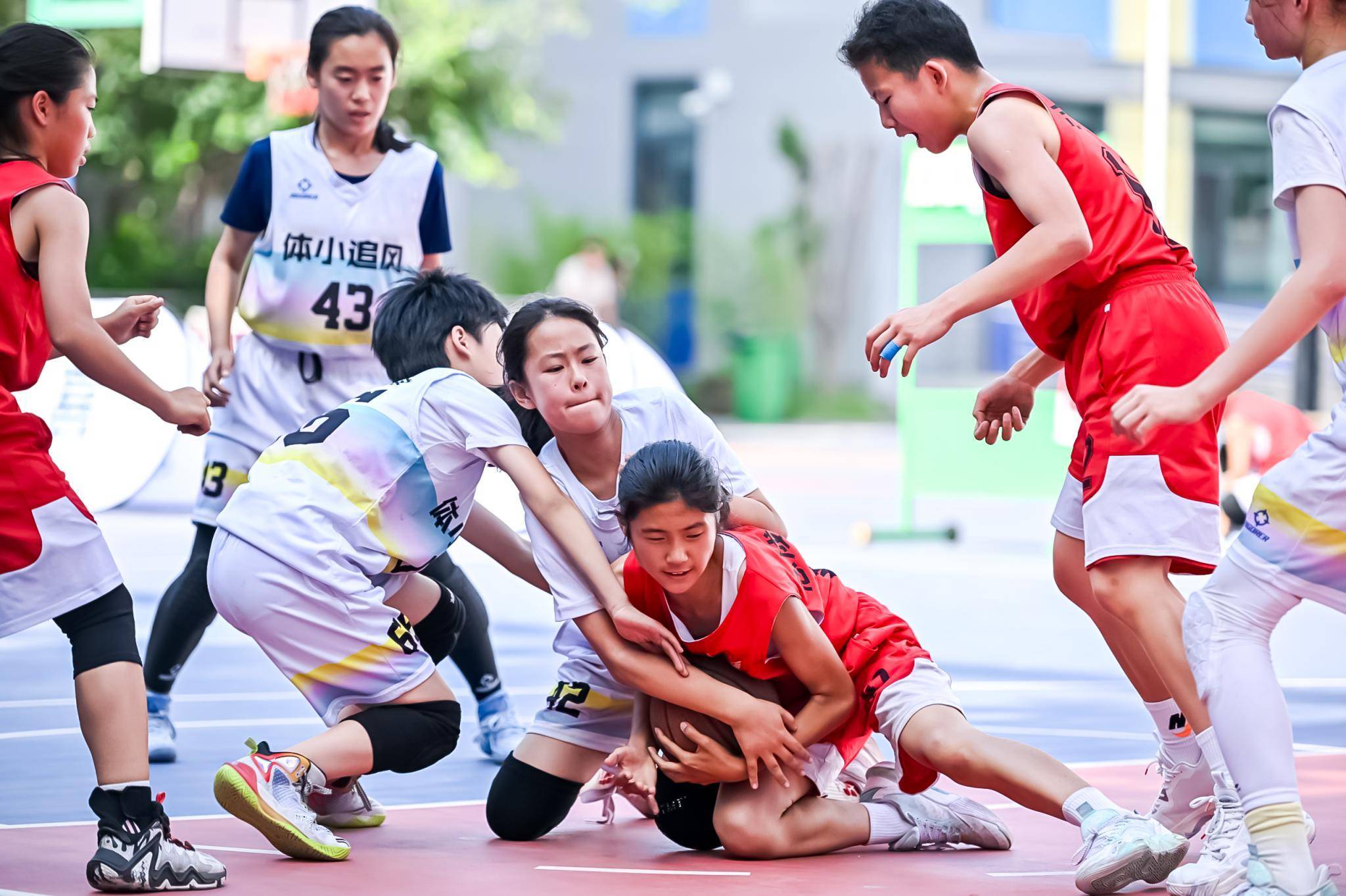 小学生篮球赛美篇图片