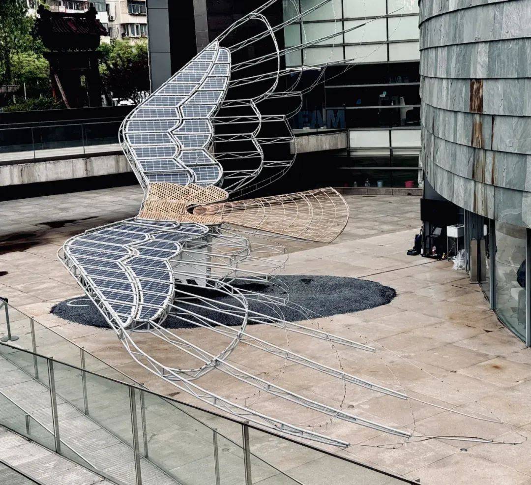 第五届大学生设计展即将开幕,6.7-6.11等你来打卡!