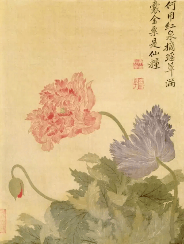 恽寿平最美的没骨花鸟选赏