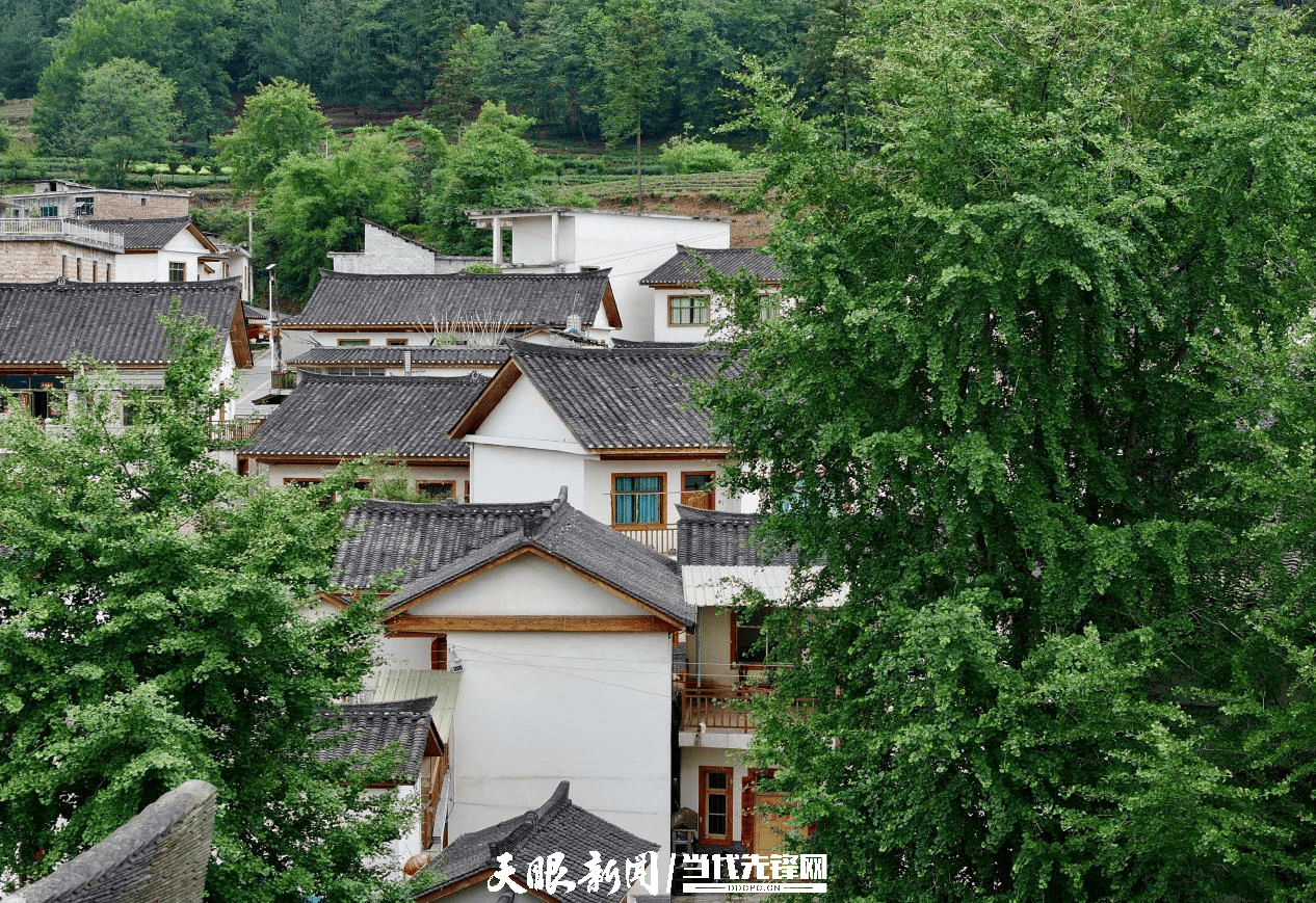 抖音短视频【欧洲杯开盘买球网站】-【视频】星海音乐学院行进乐队“闪”现校园 为毕业生奏响“送别序曲” | 2024毕业季  第3张