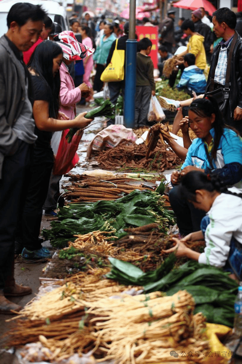 端午节的由来及特色述评