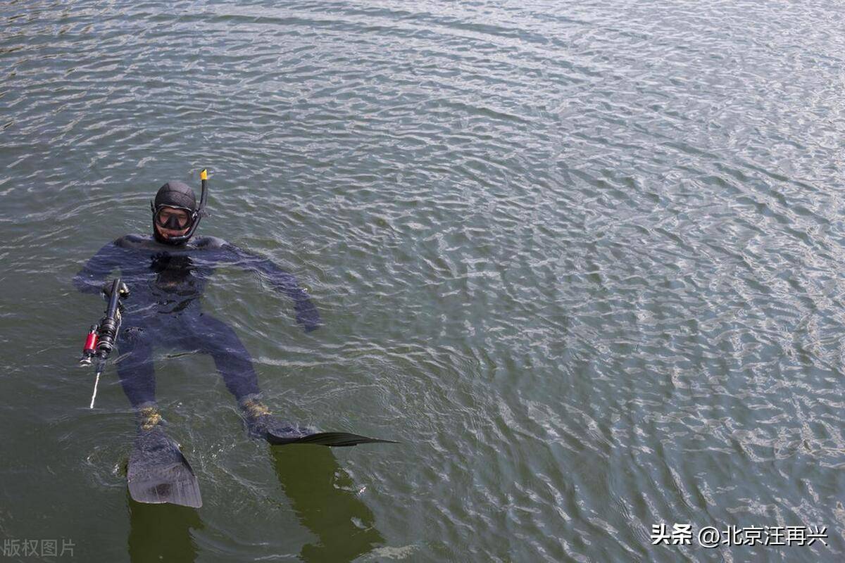 用海带解决潜艇,蛙人对阵航母,现代海战也不过如此_苦海_众生_时候