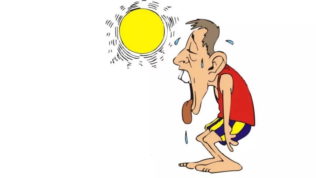 夏季跑步大量出汗是好事吗?如何合理补水?