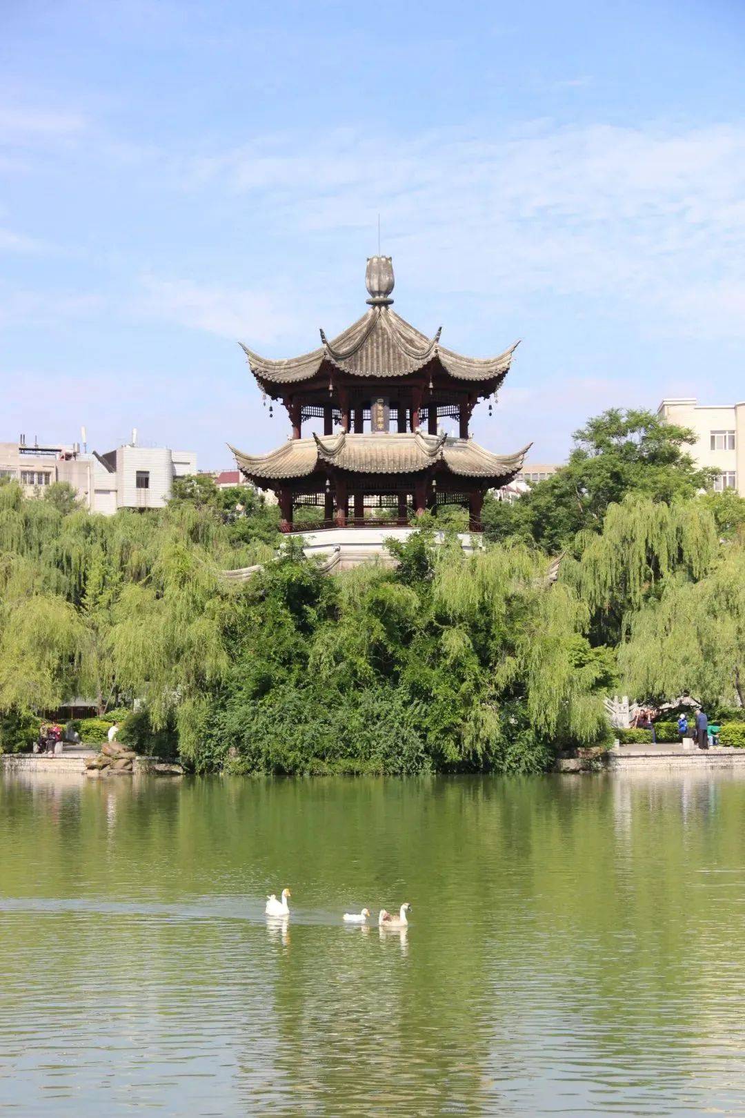 昆明版"江南水乡"藏不住啦_莲花池公园_苏州古典园林_成章