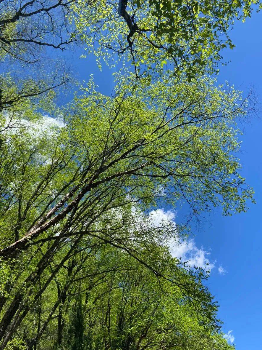 6月起 四姑娘山景区户外活动项目恢复对外开放