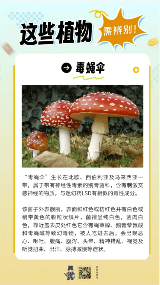 警惕!这些"毒"雷千万别踩