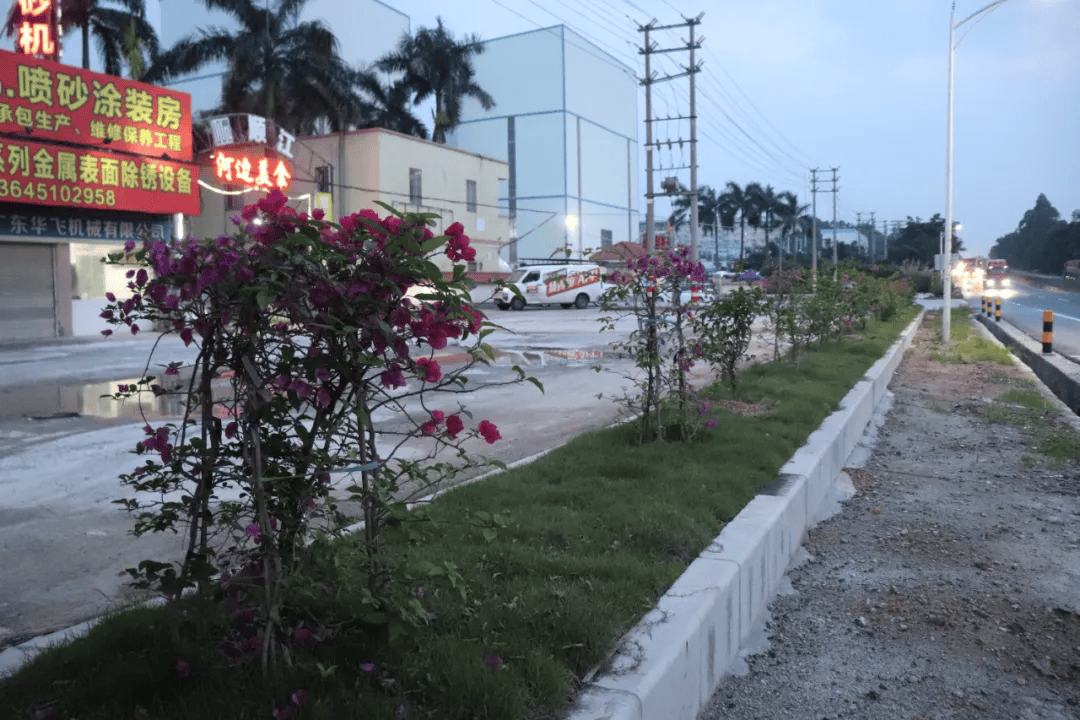 【绿美鹤山】鹤城镇:让鲜花爬满围墙,100多家企业竞相"增花添绿"